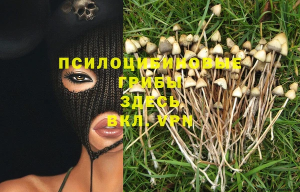 альфа пвп Алагир
