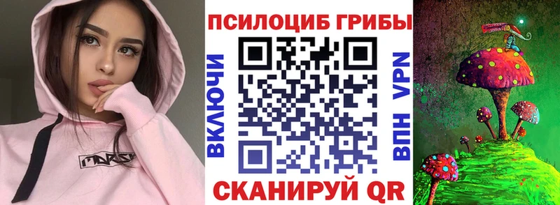 цены наркотик  Калининец  Псилоцибиновые грибы ЛСД 